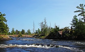 Rapids Lower French River III
